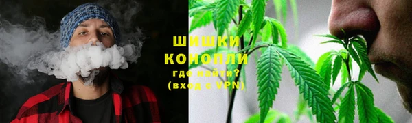 винт Бронницы