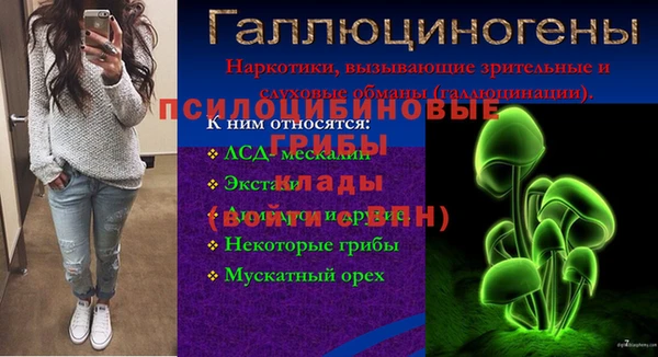 винт Бронницы
