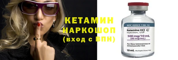 индика Богородск
